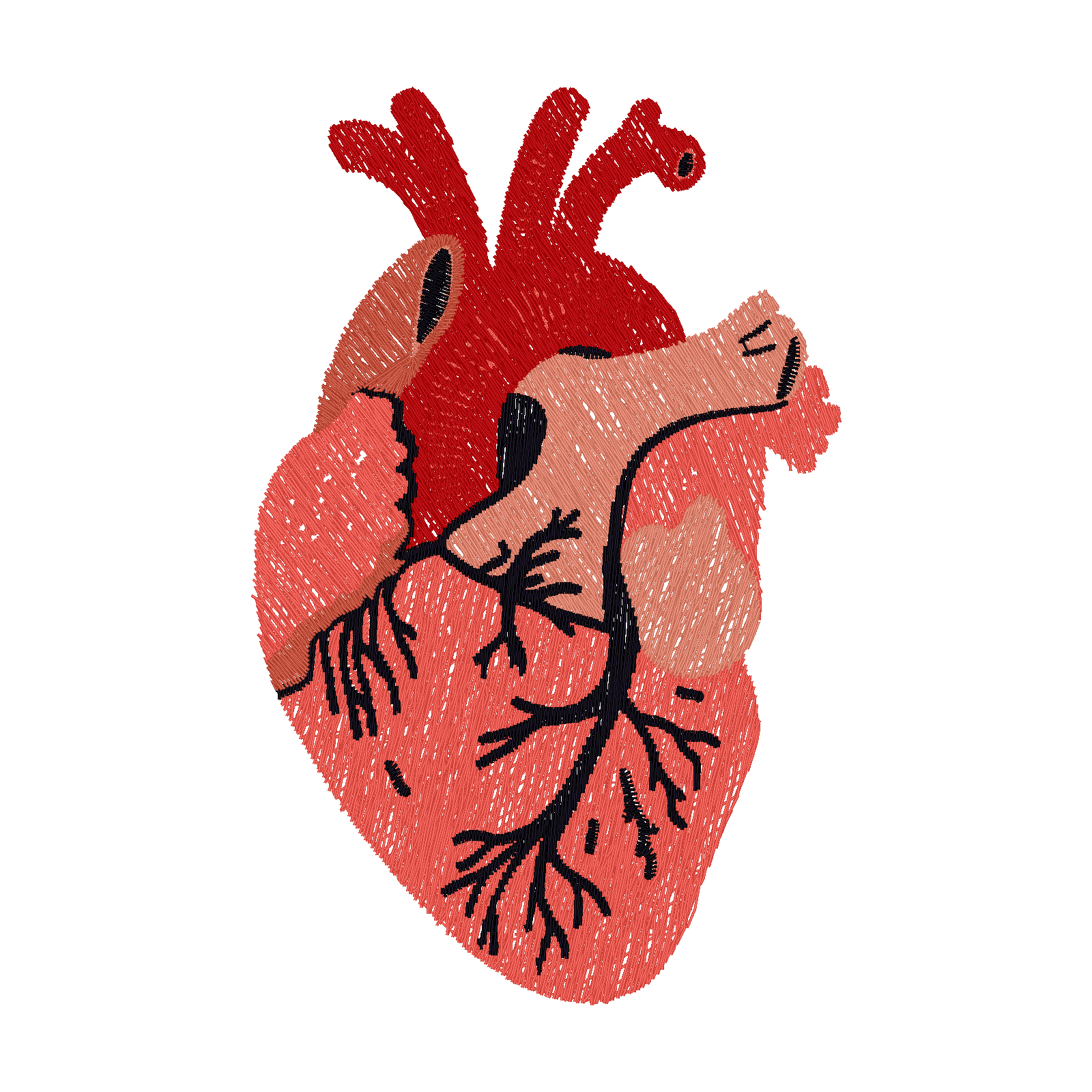 Anatomical Heart digital stitch preview